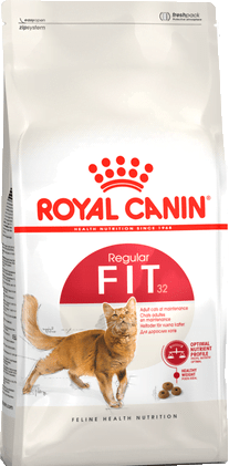 Fit 32 X15Kg