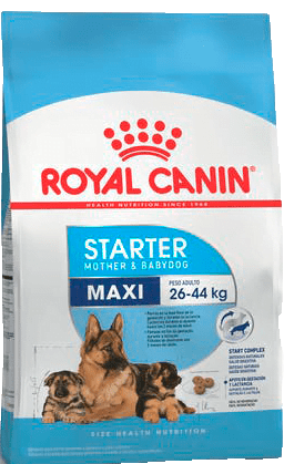 Starter Maxi X 10Kg