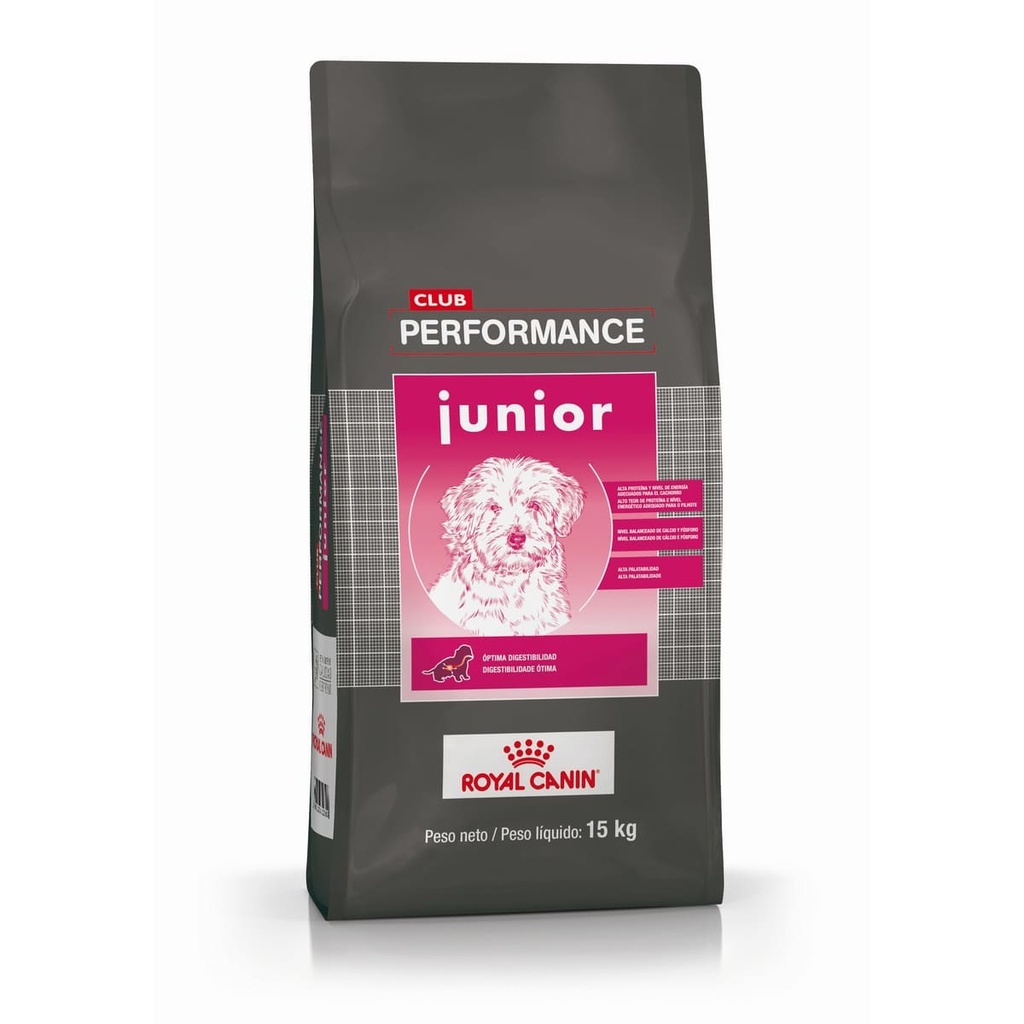 Club Performance Dog Jr 15