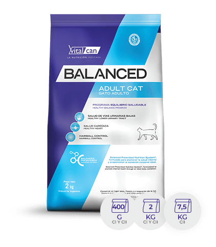 Bal Gato Ad X 2 K