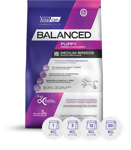Bal Perro Cach Raza Med X 12K