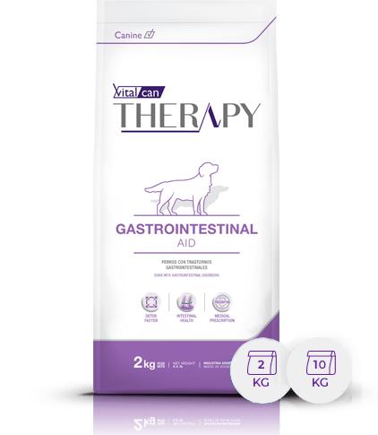 Therapy Canine Gastroin  X 2Kg