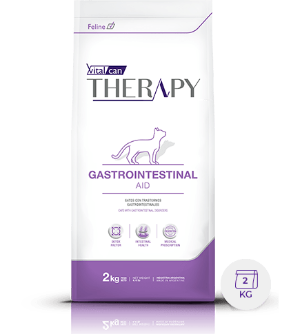 Therapy Feline Gastroint X 2Kg