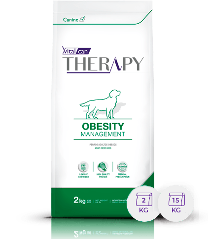 Therapy Canine Obesity  X 15Kg