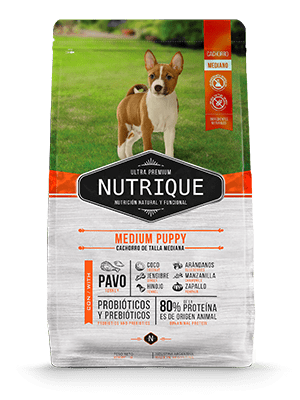 Nutrique Medium Puppy X 12 Kg