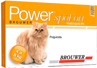 Power Spot On Gato Hasta 8 Kg
