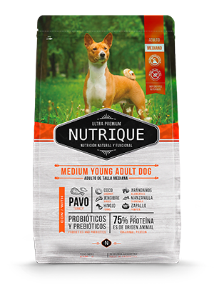 Nutrique Medium Young Ad  X3