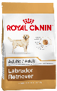 Labrador Retr Adulto X 12Kg