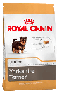 Yorkshire Terrier Puppy X 1Kg