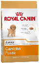 Poodle Puppy X 1Kg